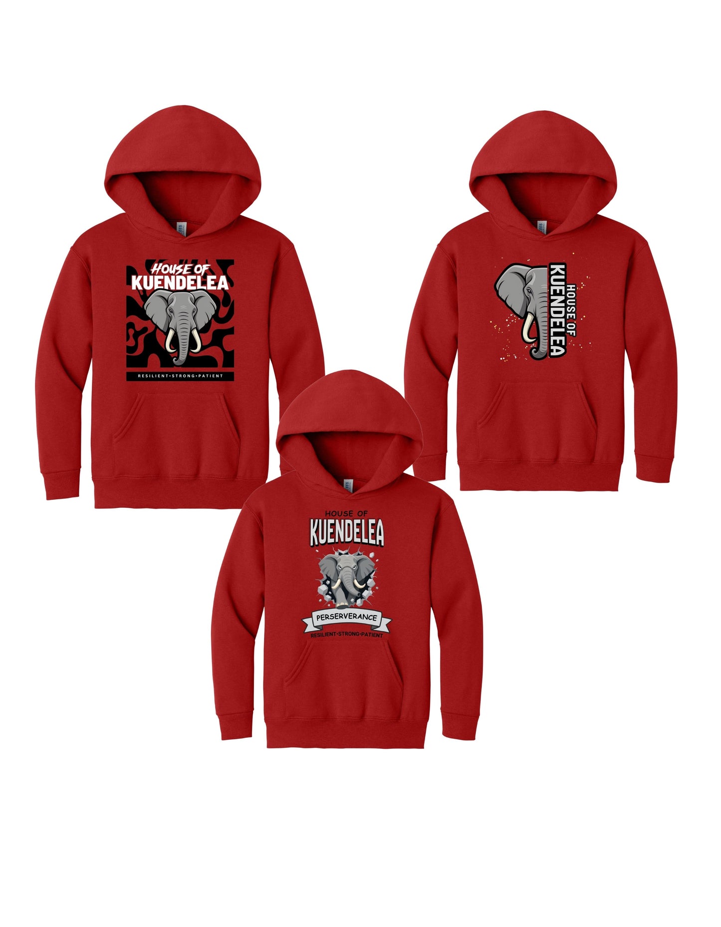 KPS House Kuendelea Adult/Youth Hoodie