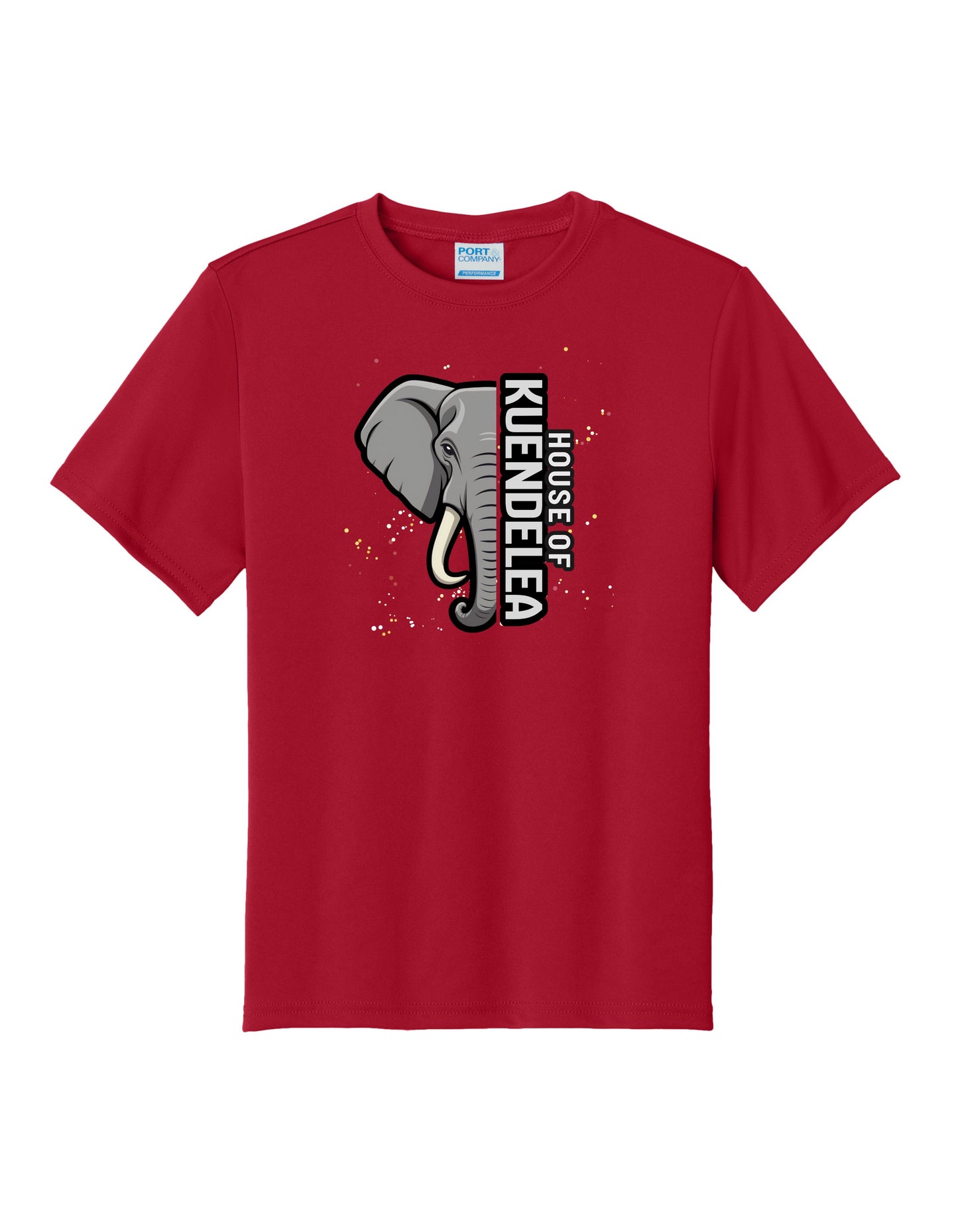 KPS House Kuendelea Adult/Youth Performance Dri-Fit Shirt