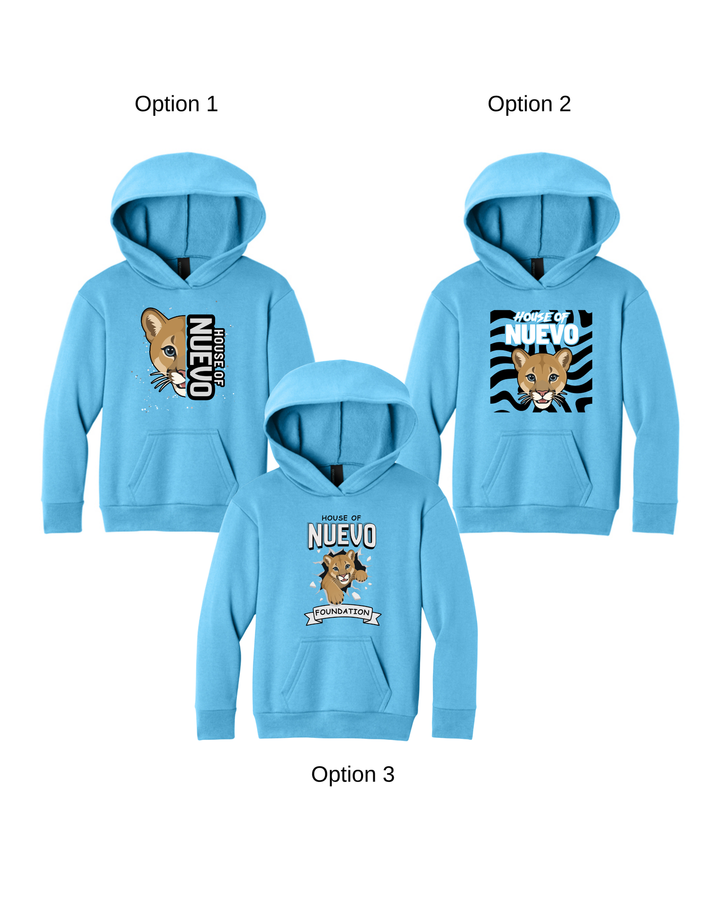 KPS House Nuevo Adult/Youth Hoodie
