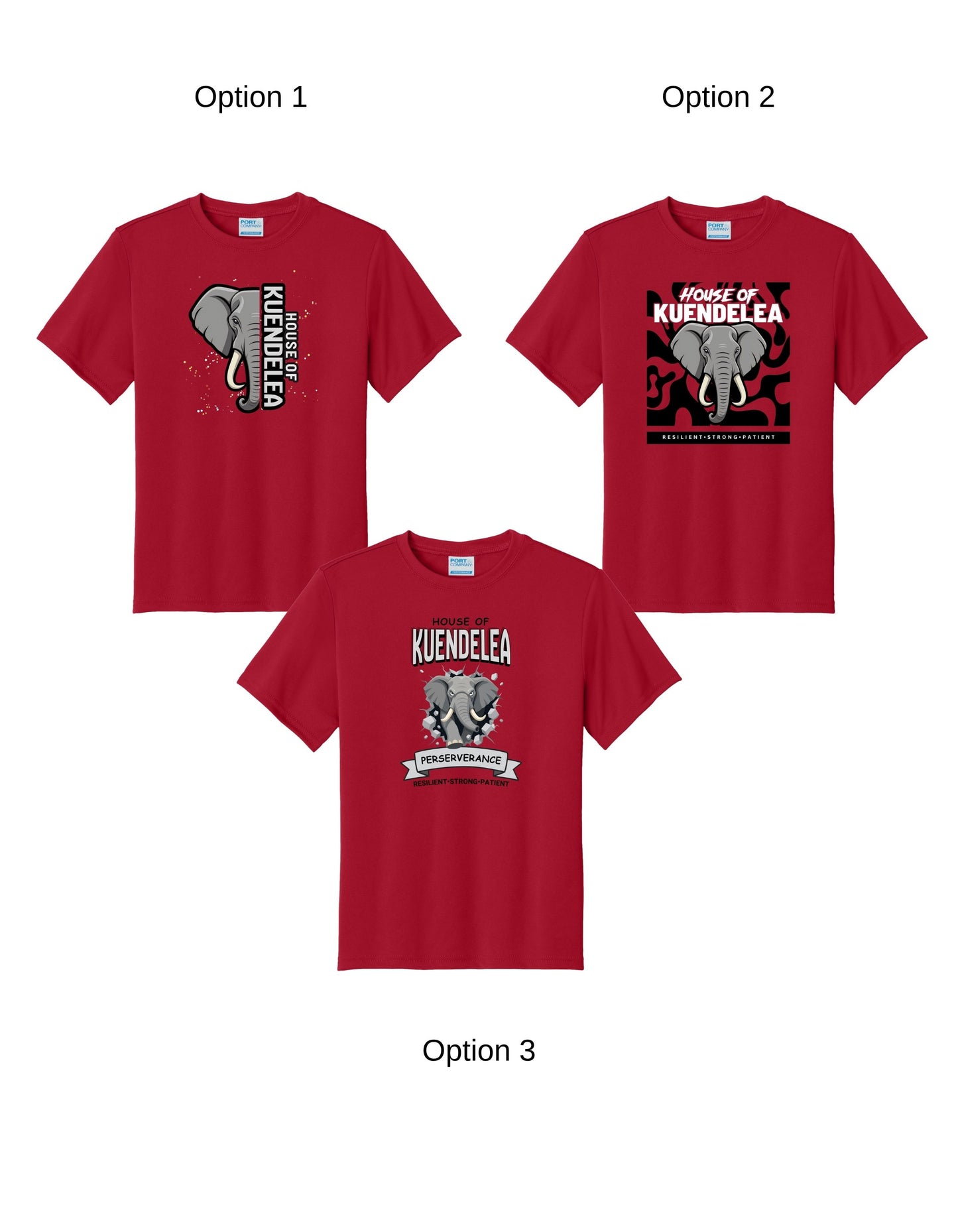 KPS House Kuendelea Adult/Youth Performance Dri-Fit Shirt