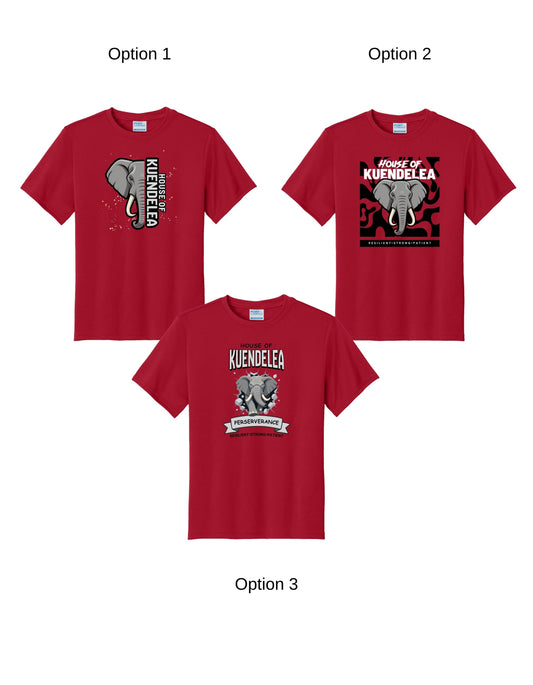 KPS House Kuendelea Adult/Youth Performance Dri-Fit Shirt