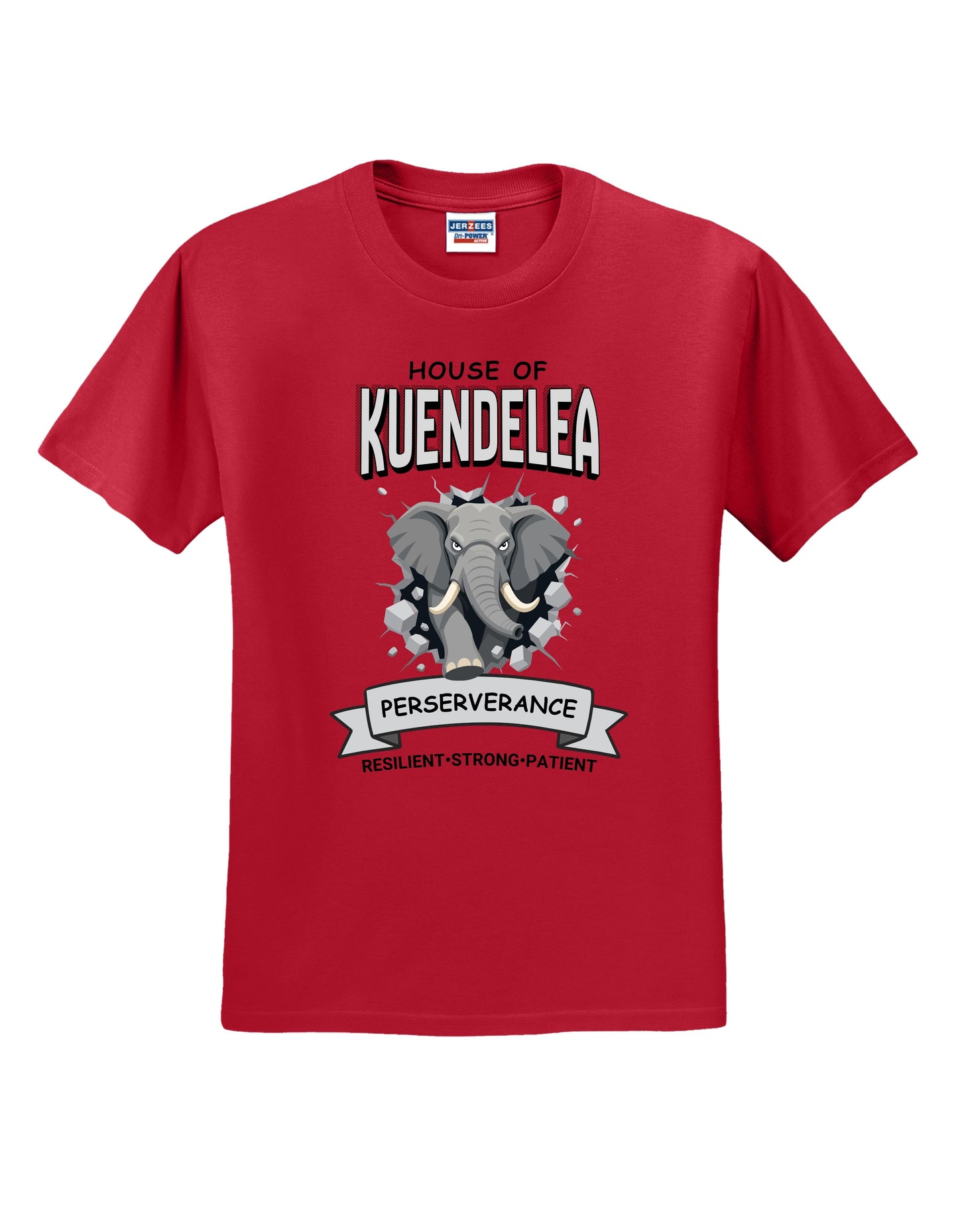 KPS House Kuendelea Adult/Youth Shirt