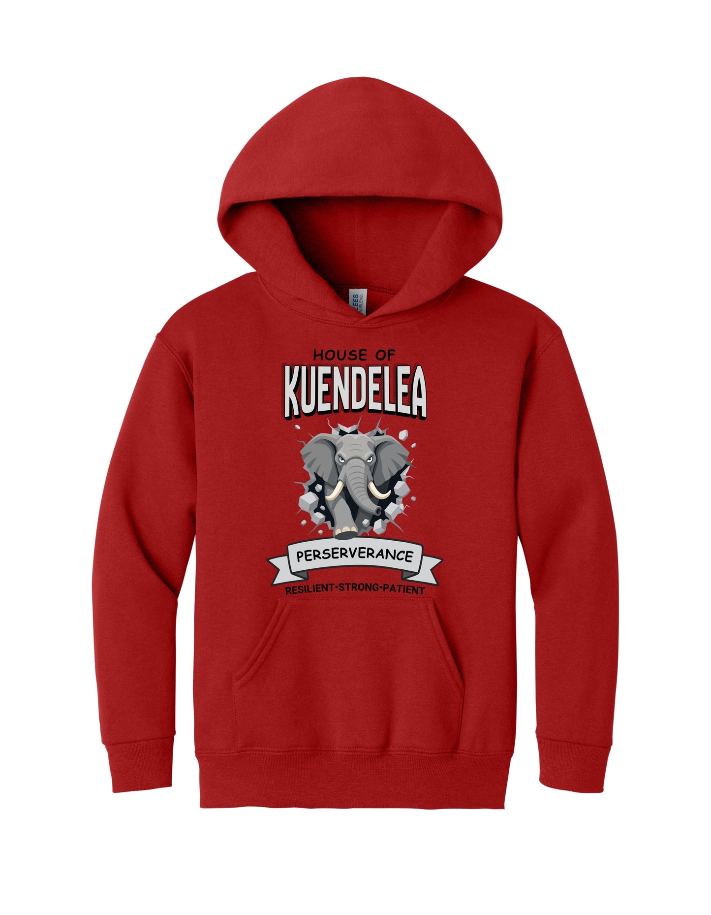 KPS House Kuendelea Adult/Youth Hoodie