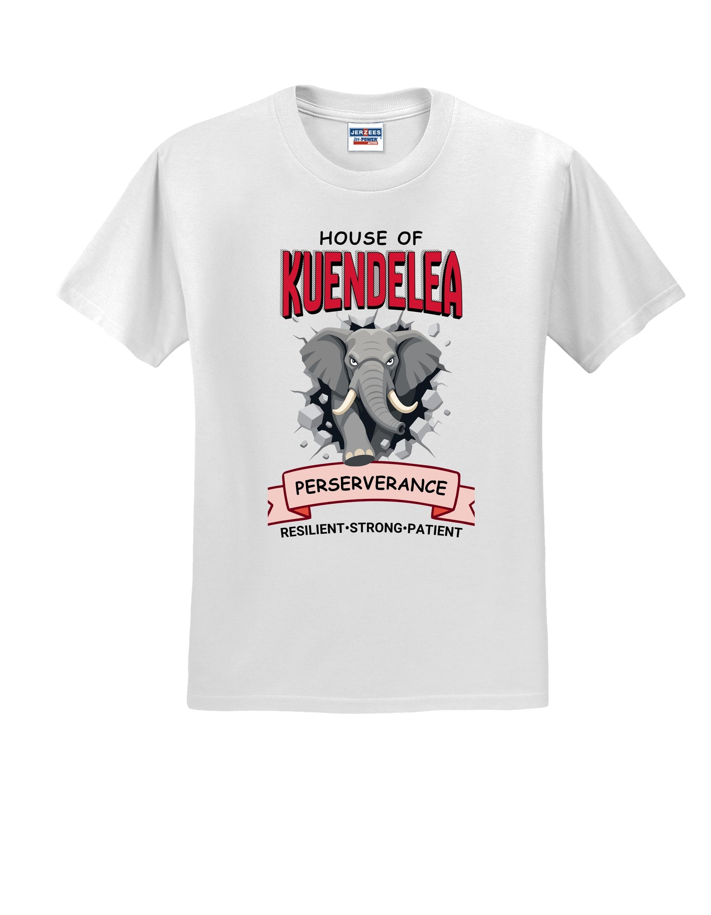 KPS House Kuendelea Adult/Youth Shirt
