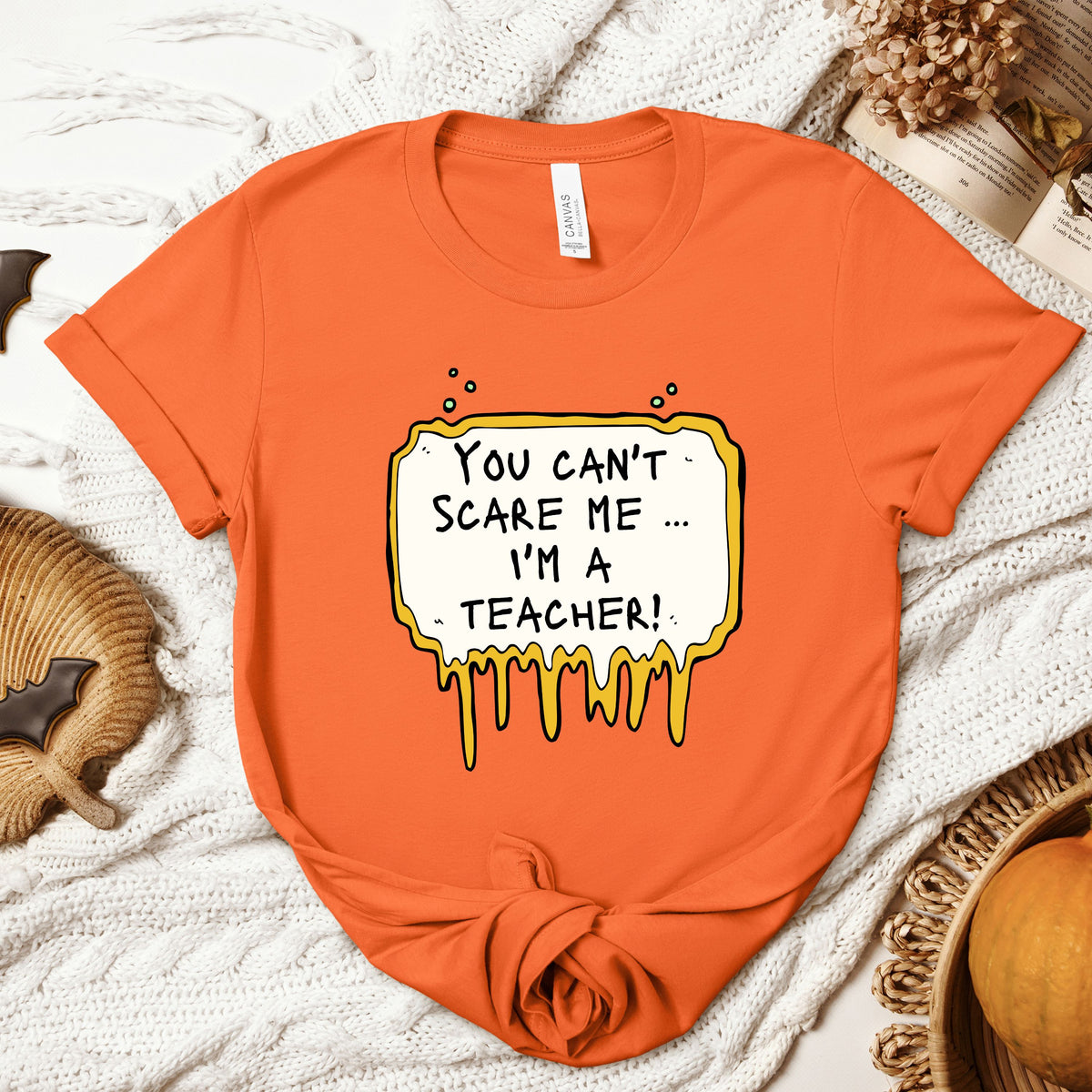 Halloween You Can't Scare Me I'm a Teacher Adult/Youth Light Weight Shirt