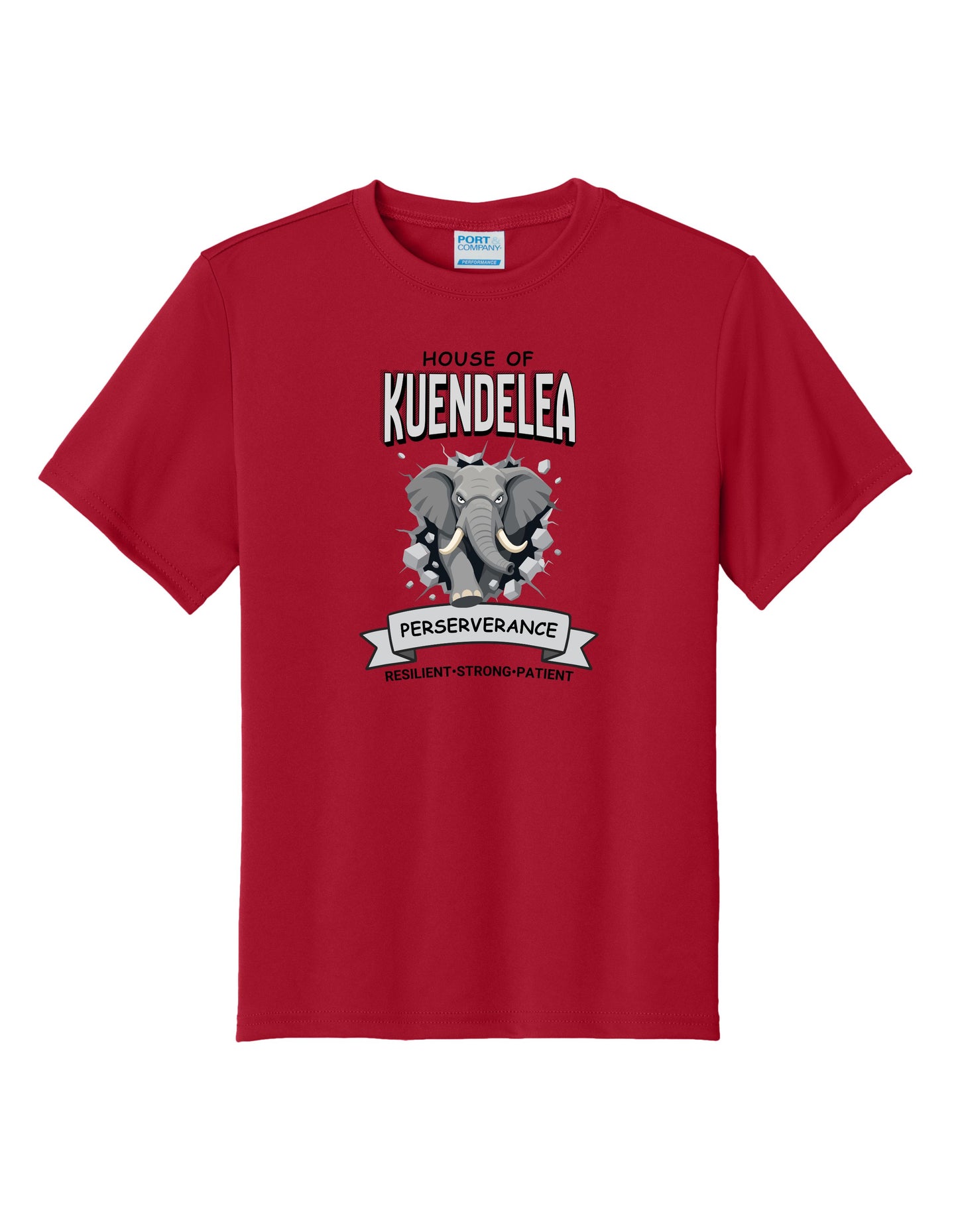 KPS House Kuendelea Adult/Youth Performance Dri-Fit Shirt