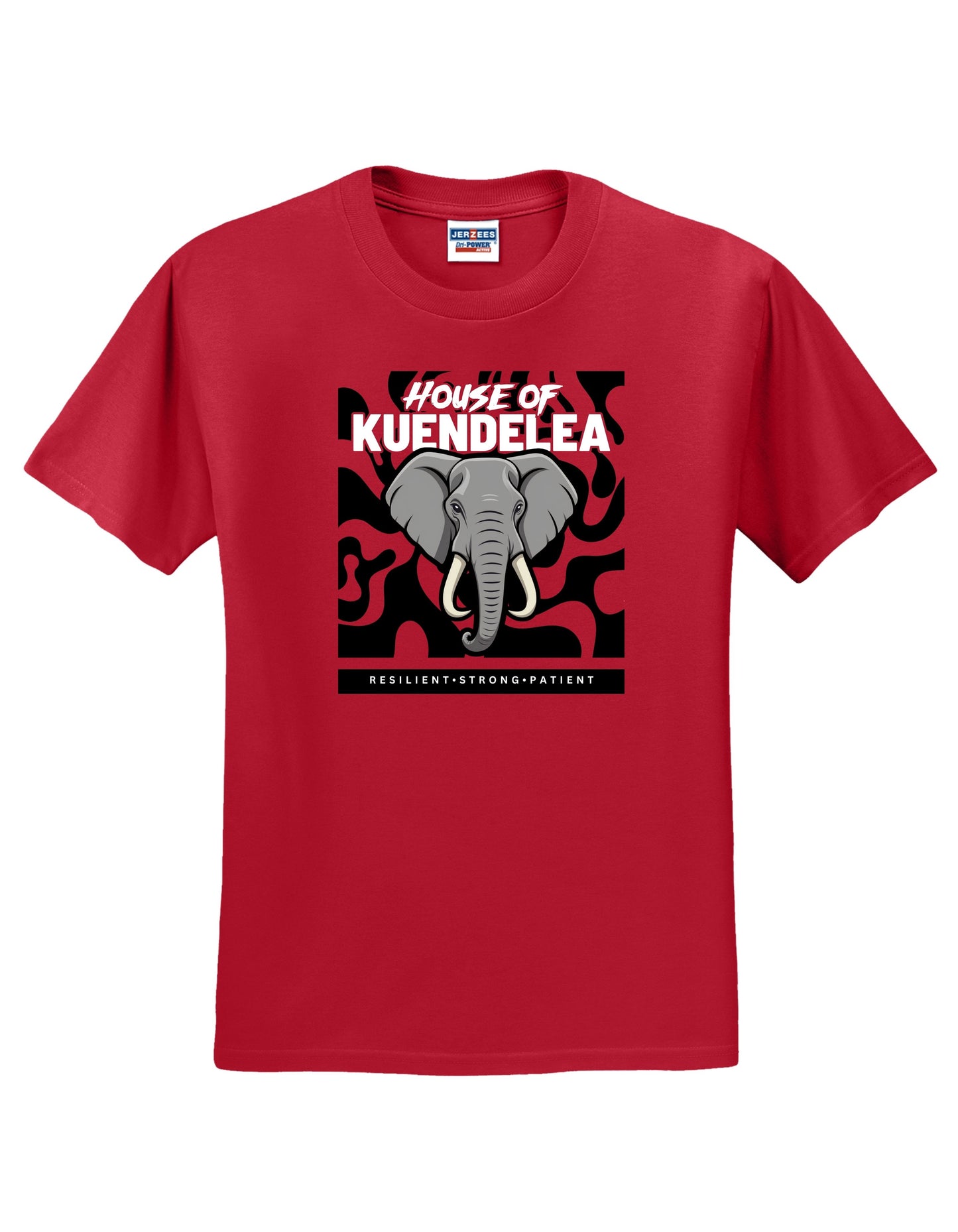 KPS House Kuendelea Adult/Youth Shirt
