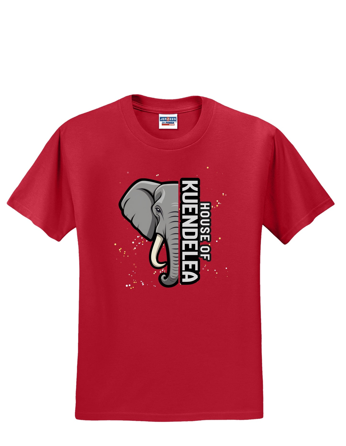 KPS House Kuendelea Adult/Youth Shirt
