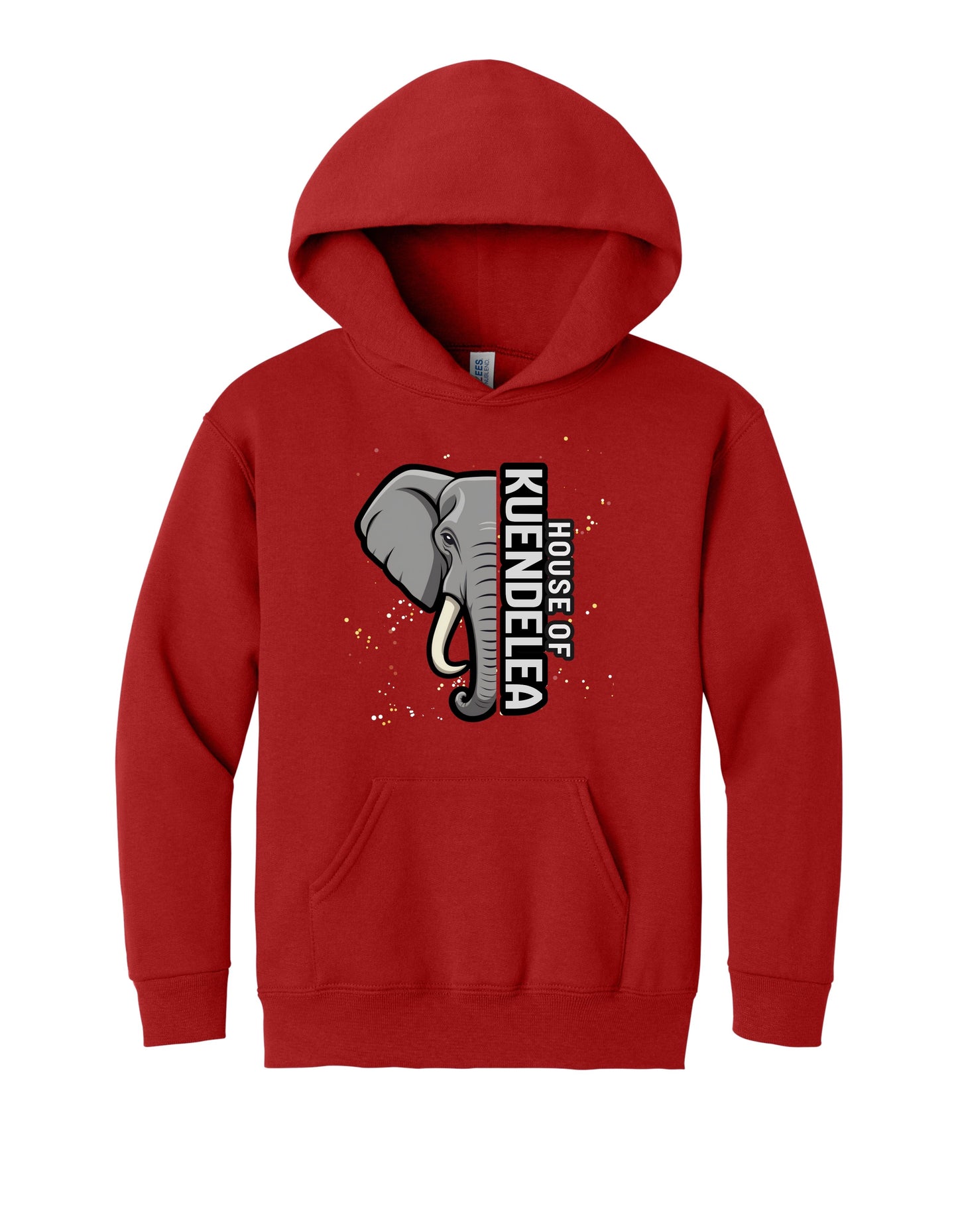 KPS House Kuendelea Adult/Youth Hoodie