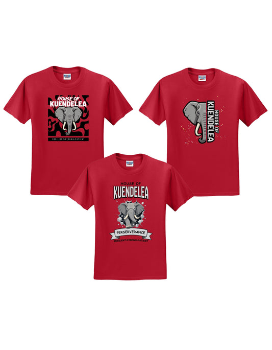 KPS House Kuendelea Adult/Youth Shirt